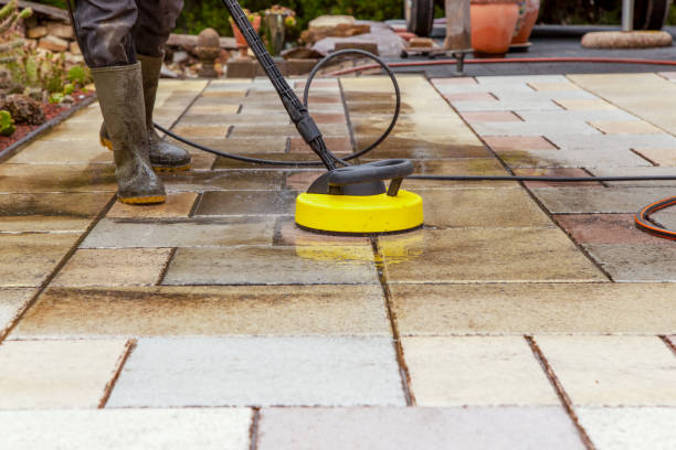 Best Spring Cleaning  in St Anthony, MN